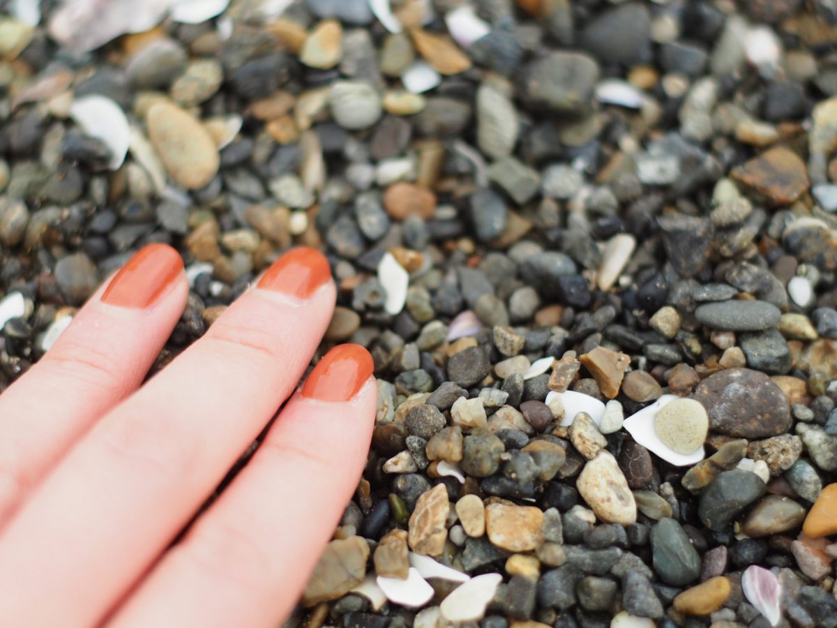 海辺の石って一つ一つ質感が違って可愛いですね