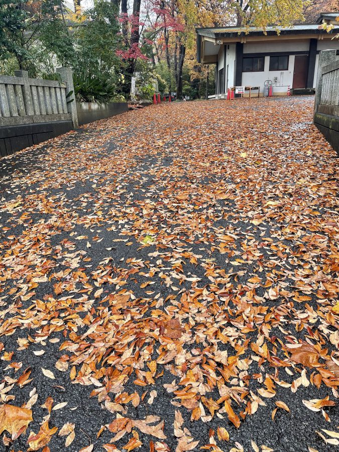 八坂神社の雨に濡れた落ち葉のじゅうたんがステキ！