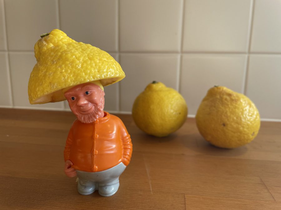 黄色い帽子のこびとさんの新しい帽子に？