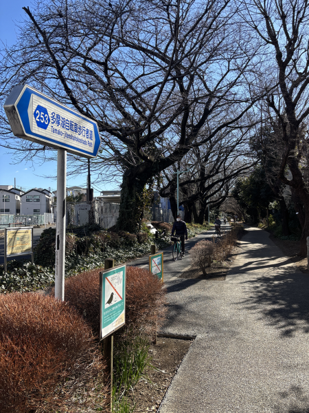 多摩湖自転車歩行者道であいばこからグリーンロードまで