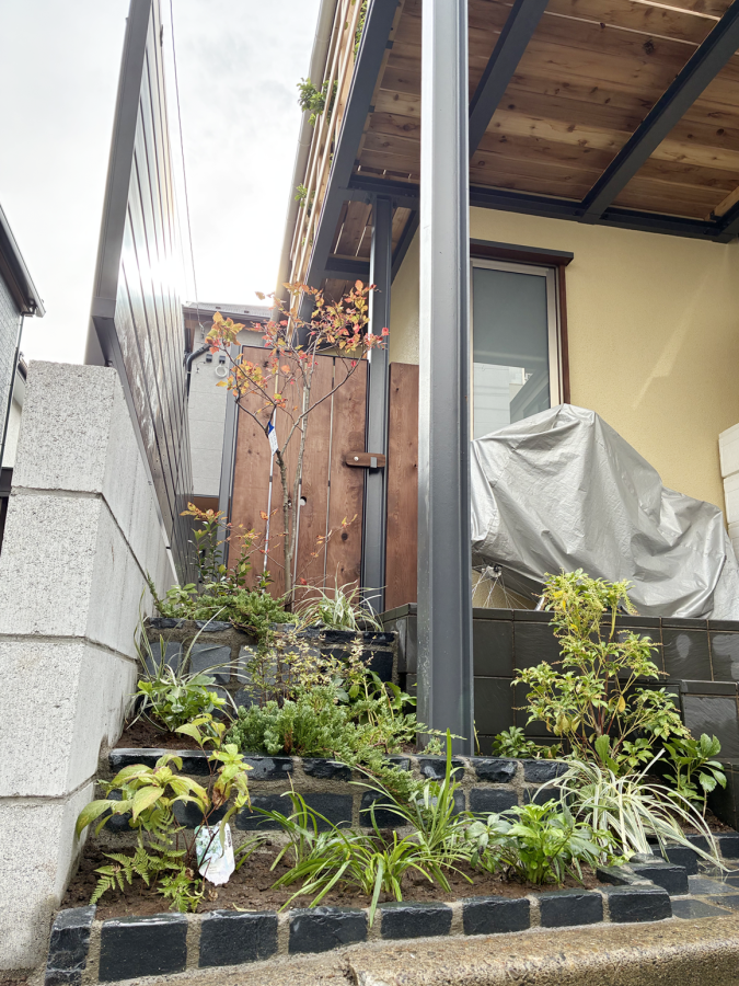 玄関周りの植栽　After
