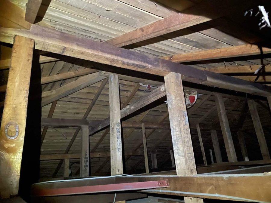 ご相談をいただくと建物の状況を把握するところから始まります。小屋裏をのぞいた時にも雨シミは見たあたらずきれいな状況でした。